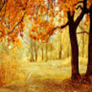 Meet your Posher, Arshvir